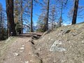 20260418_121141.jpg