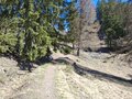 20260418_124258.jpg