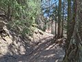 20260418_124933.jpg
