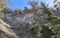 20260418_130428.jpg