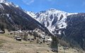 20260418_133109.jpg