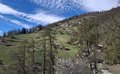 20260418_153333.jpg