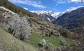 20260418_155248.jpg