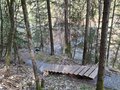 20260426_102318.jpg