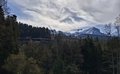 20260426_103251.jpg