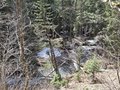 20260426_120405.jpg
