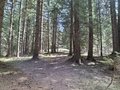 20260426_125948.jpg