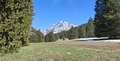 20260426_144556.jpg
