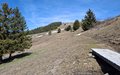 20260426_153736.jpg
