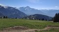 20260426_161028.jpg