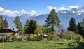 20260501_120642.jpg