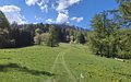 20260501_120727.jpg