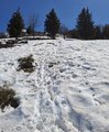 20260501_143531.jpg
