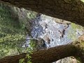 20260502_160046.jpg