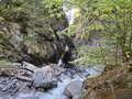 20260502_160611.jpg