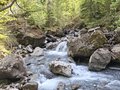 20260502_160614.jpg