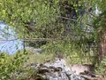 20260502_160947.jpg