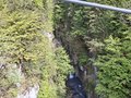 20260502_161332.jpg