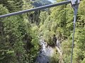 20260502_161336.jpg