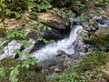 20260502_162216.jpg