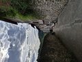 20260503_180919.jpg