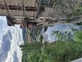 20260503_181712.jpg