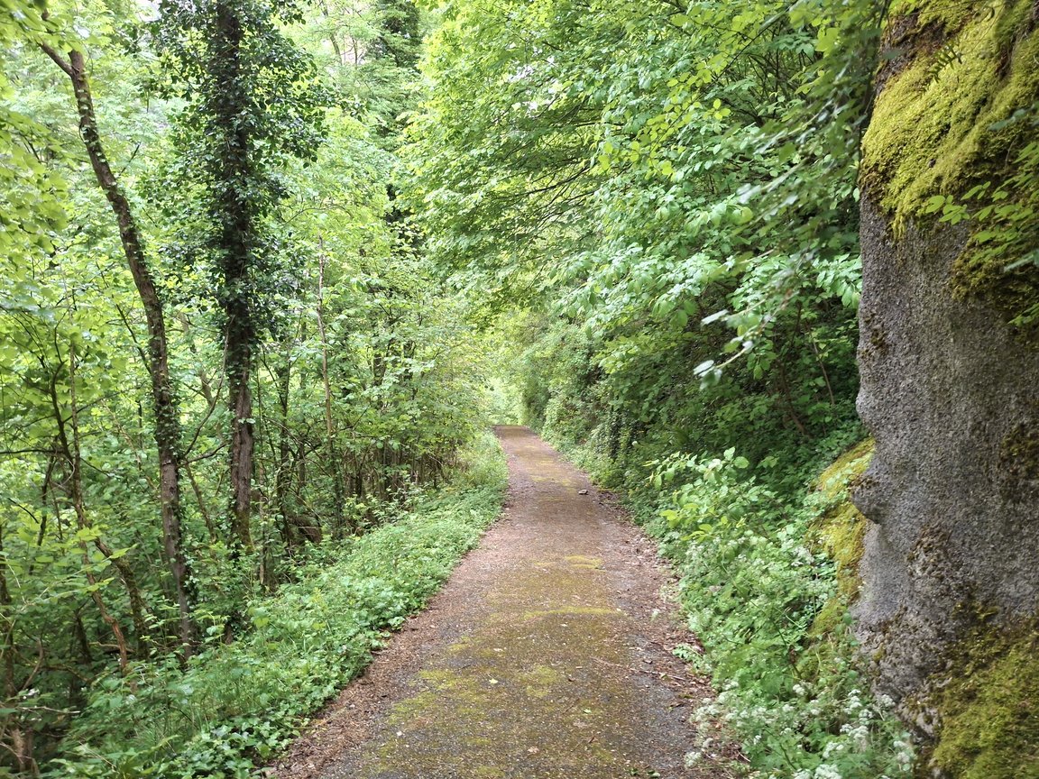 20260504_100026.jpg