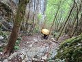 20260504_134948.jpg