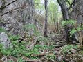 20260504_134952.jpg