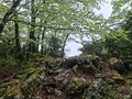 20260504_135307.jpg