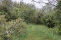 20260504_140811.jpg