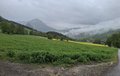 20260505_113116.jpg