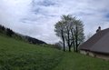 20260505_124917.jpg