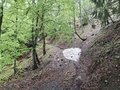 20260505_132025.jpg