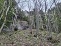 20260505_133323.jpg