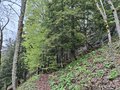 20260505_133325.jpg