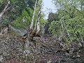 20260505_133522.jpg