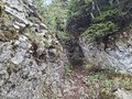 20260505_133730.jpg