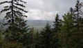 20260505_135526.jpg