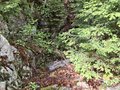 20260505_140509.jpg