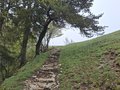 20260506_134719.jpg
