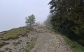 20260506_135005.jpg
