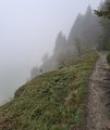 20260506_140304.jpg