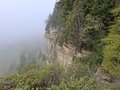 20260506_143531.jpg