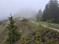 20260506_152211.jpg