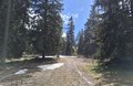 20260506_154930.jpg