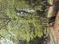 20260506_155358.jpg