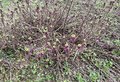 20260506_160053.jpg