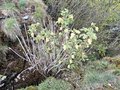 20260506_164055.jpg