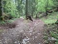 20260506_171608.jpg